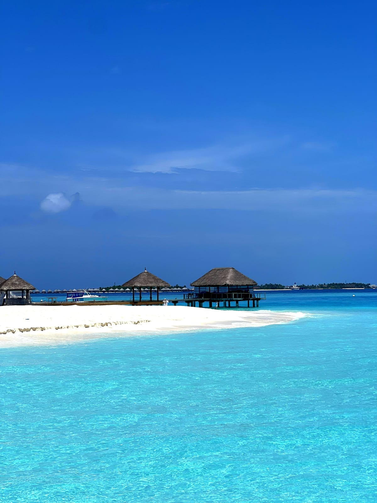 Otium: On the Sacred Discipline of Leisure