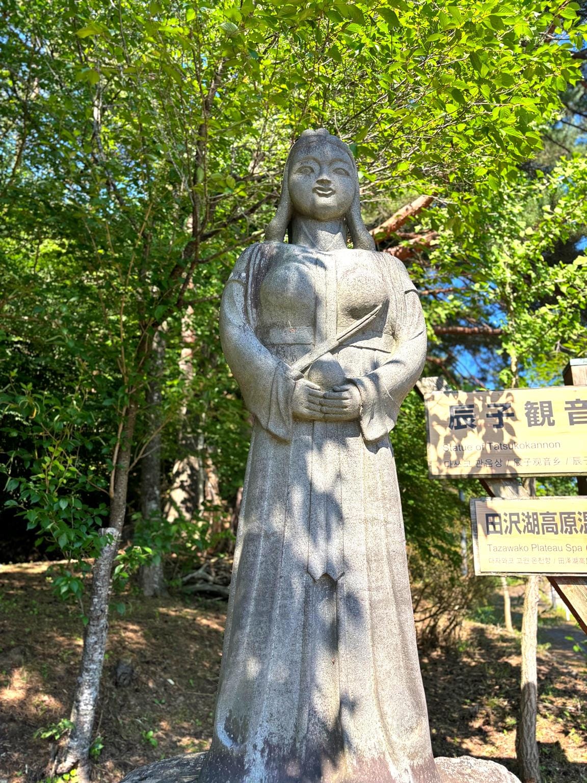 Tozawa and Narcissus: On Reflection, Desire, and the Self That Cannot Return