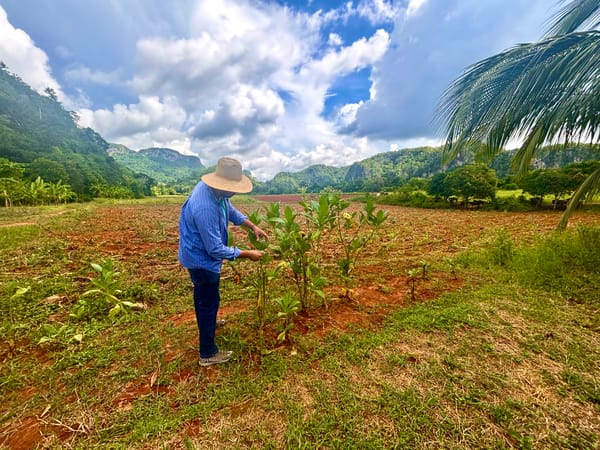 Where the Earth Remembers: Viñales and Ha Long