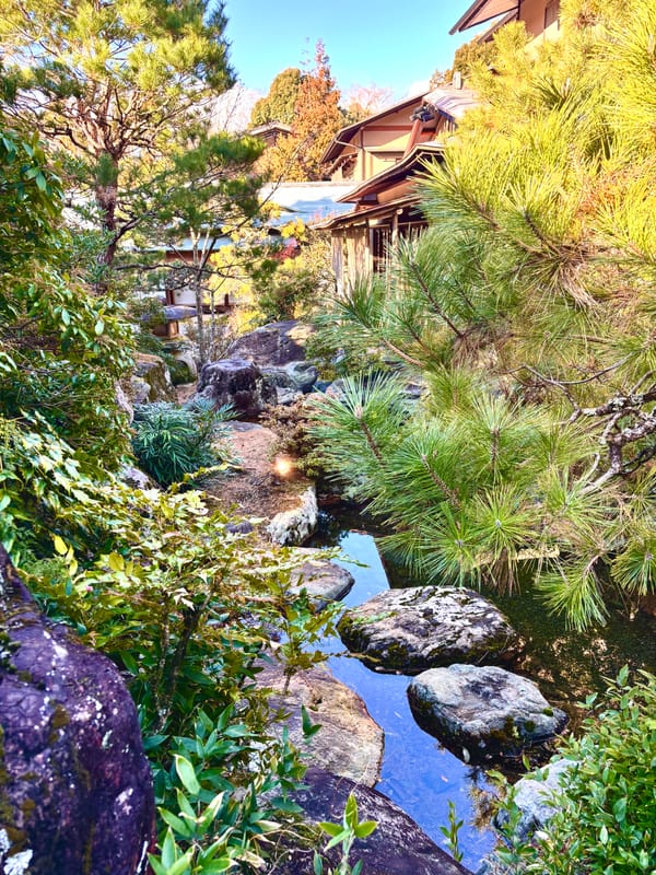Shizuoka: Between Mountain and Sea